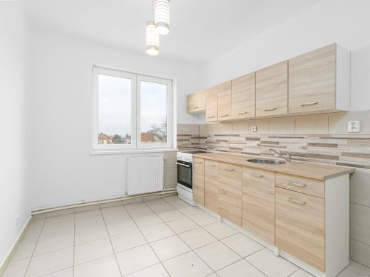 Prostorný byt 3+1, Tlustice, okr. Beroun